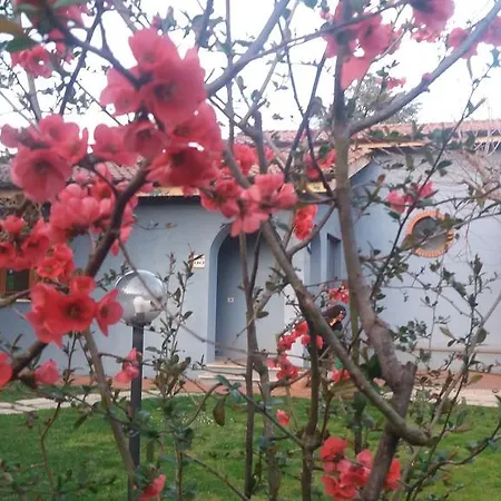 Panzió Blue